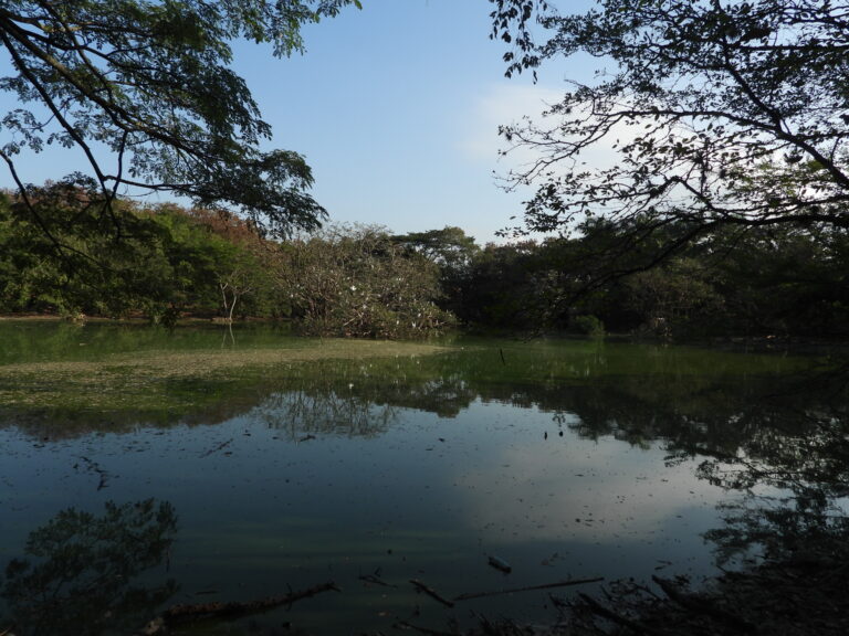 DSCN3099