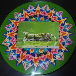 Postal Iguana